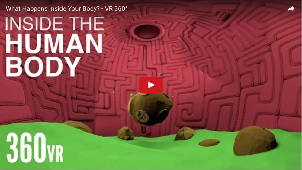 What Happens Inside Your Body? | 360 Video