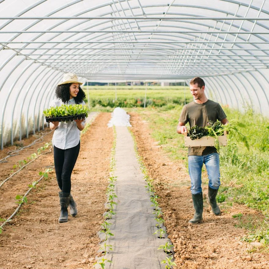 Farmer-couple-1