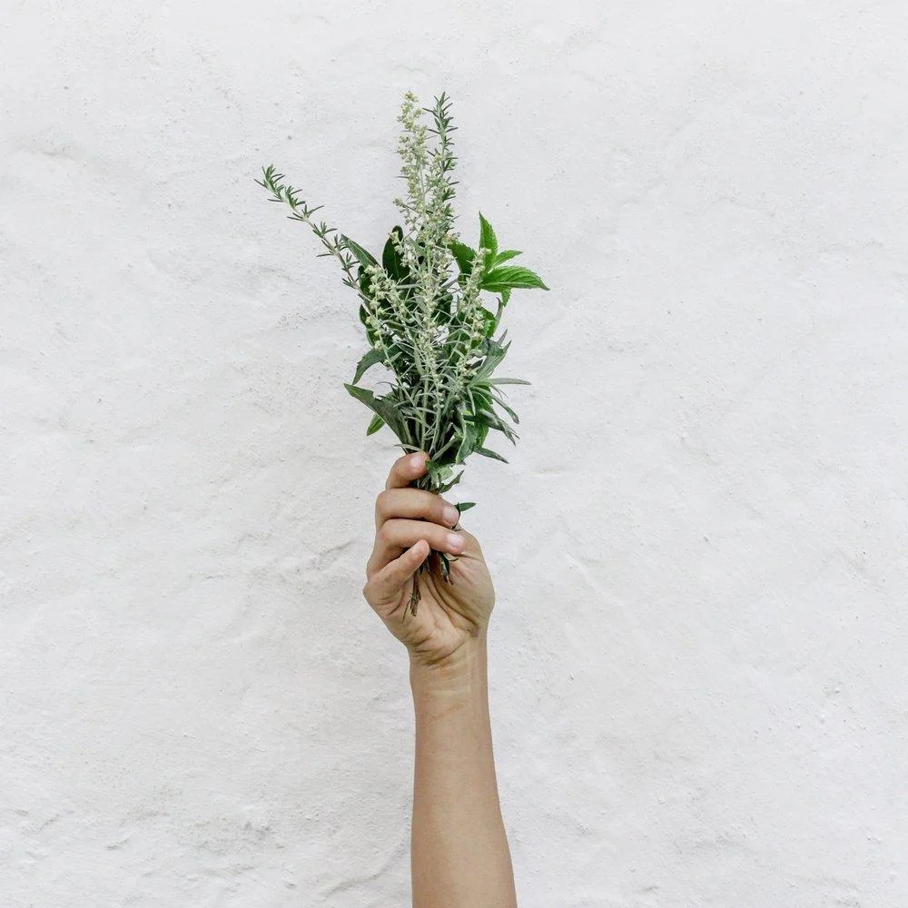 Nordwood-themes-535273-unsplash-1