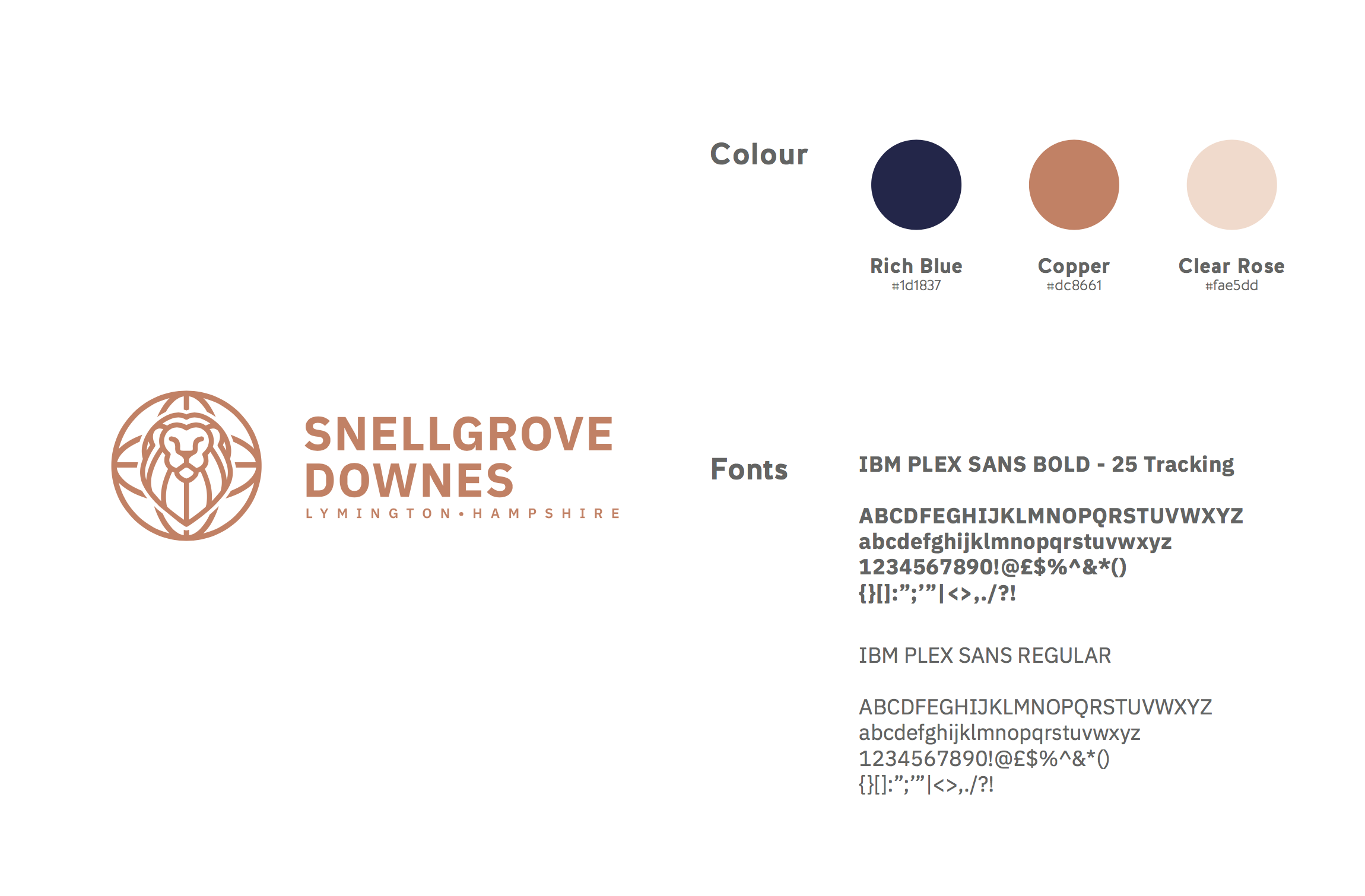 The Importance of Branding supporting image