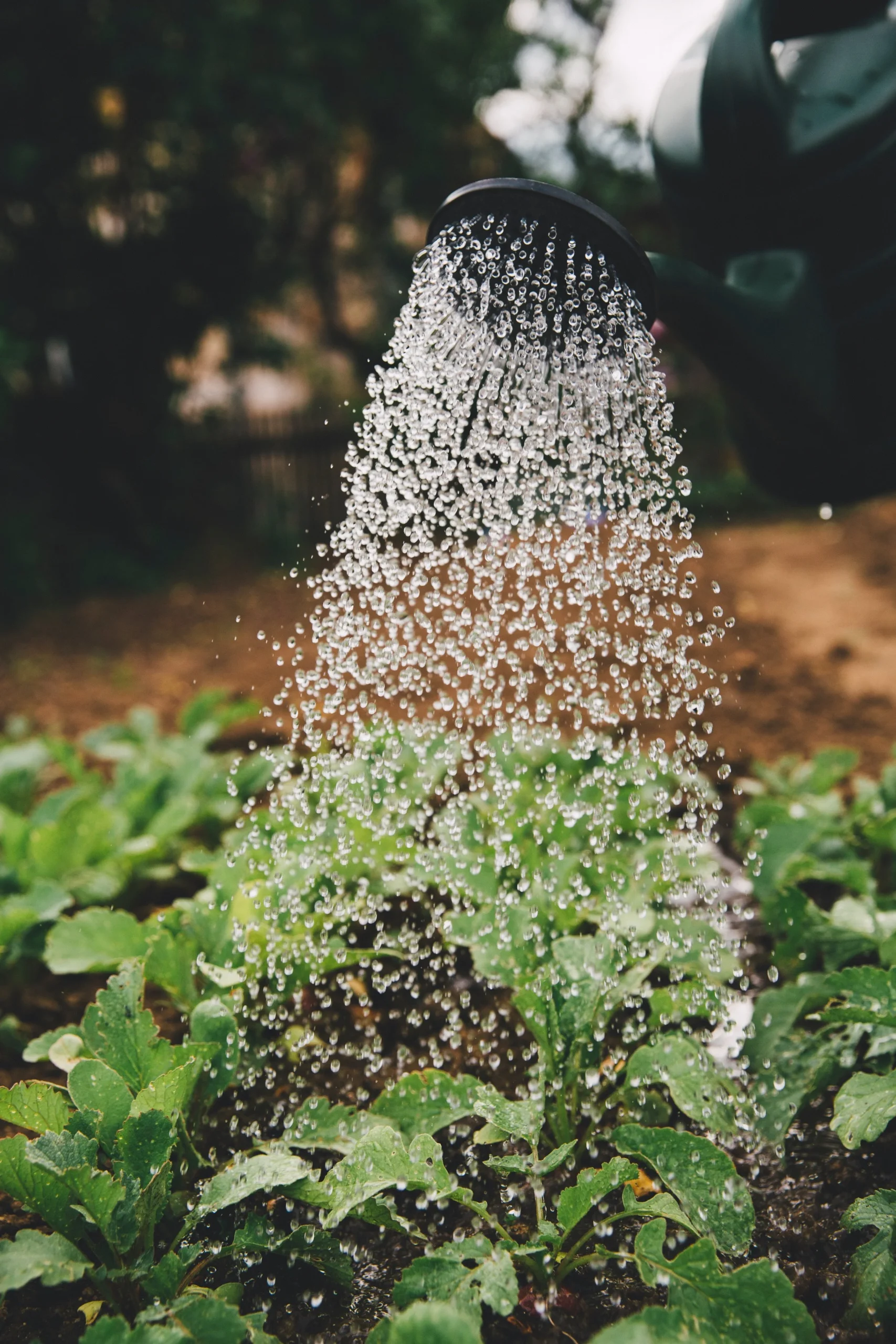 Markus-spiske-502390-unsplash