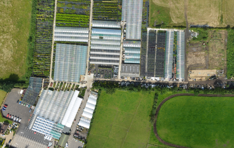 Client Win: Oaktree Garden Centre &amp; Nursery appoints UNBXD