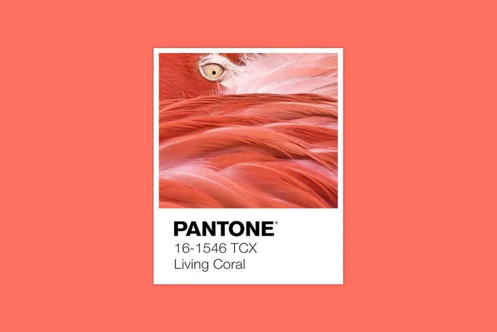 Collections-living-coral_1024x1024