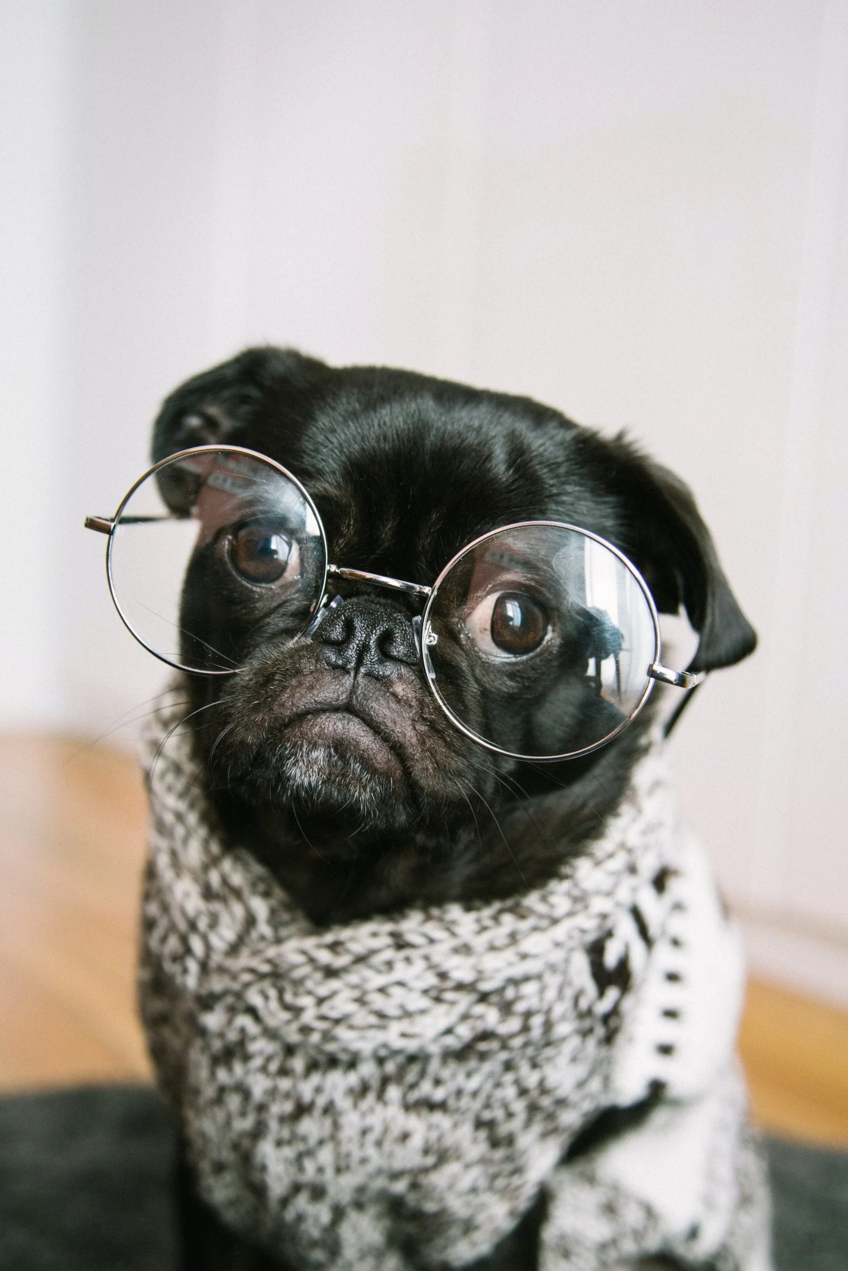 Charles-deluvio-pOUA8Xay514-unsplash
