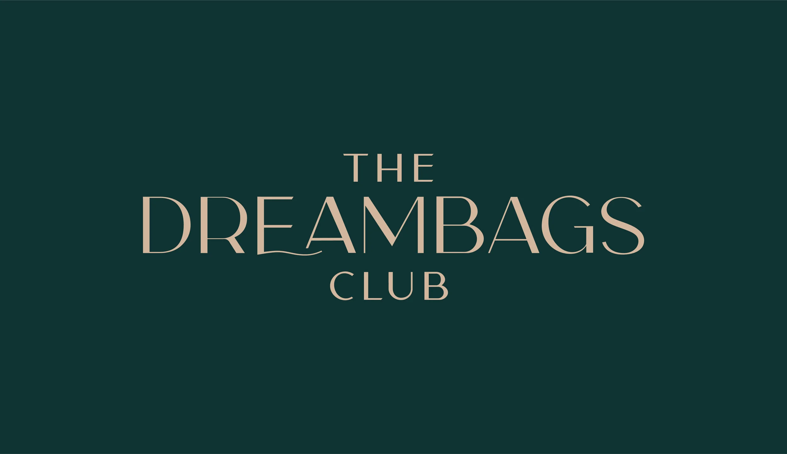 dreambags social-22.jpg