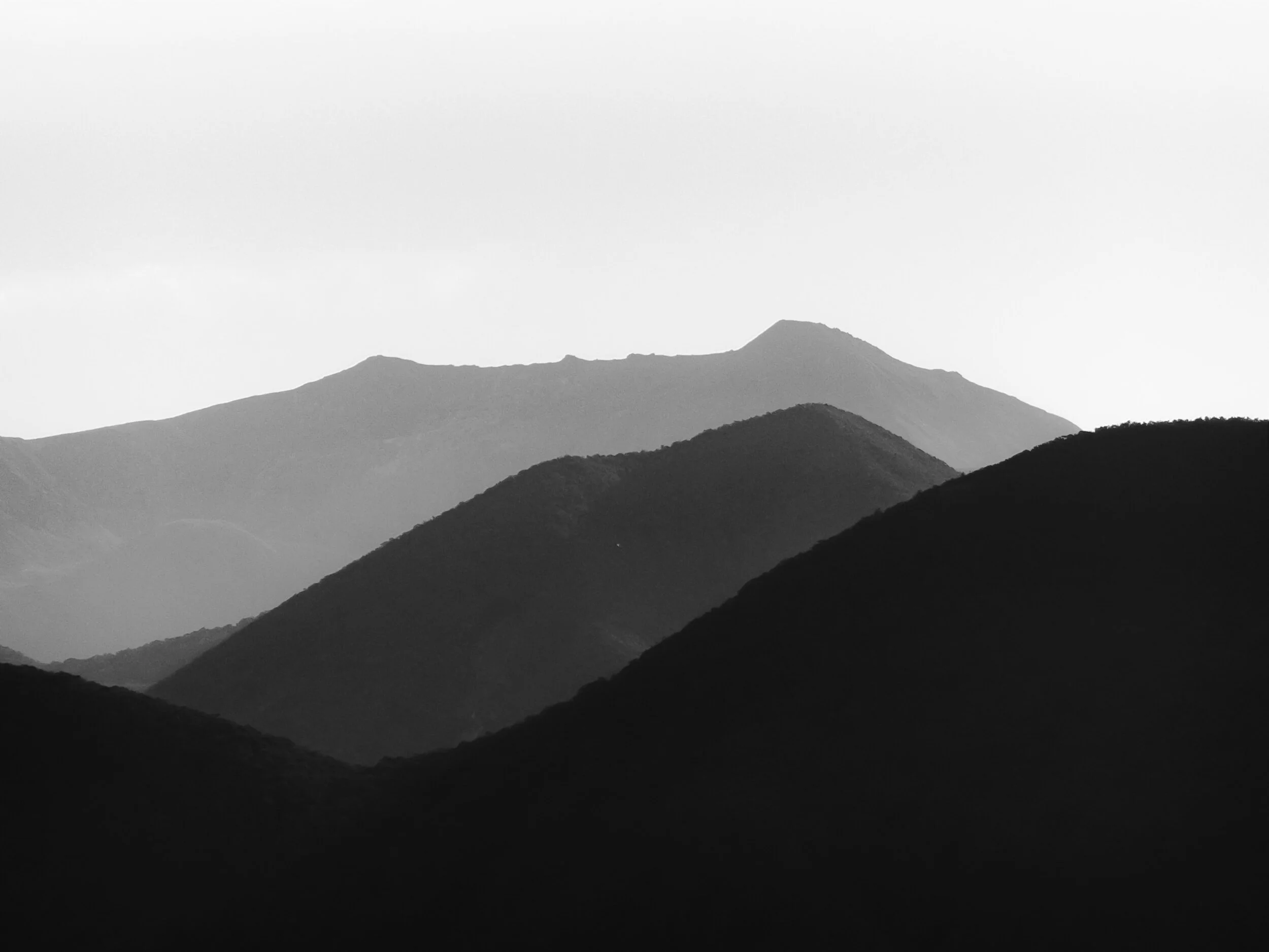 Tyler-lastovich-yz3Lt5Kwdi8-unsplash