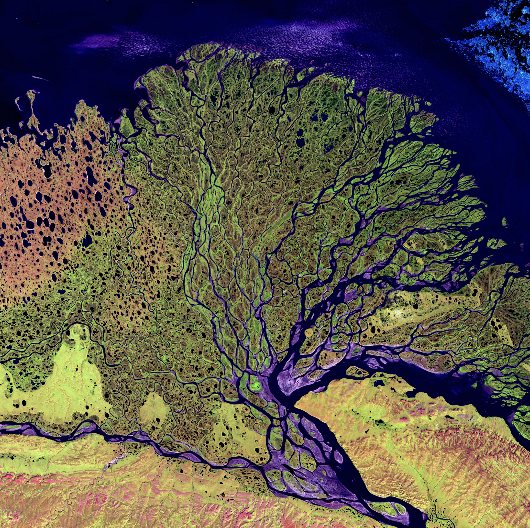 The Lena River, some 2,800 miles(4,500km) long, is one of the largest rivers in the world. The Lena Delta Reserve is the most extensive protected wilderness area in Russia. It is an important refuge and breeding grounds for many species of Siberian wildlife.