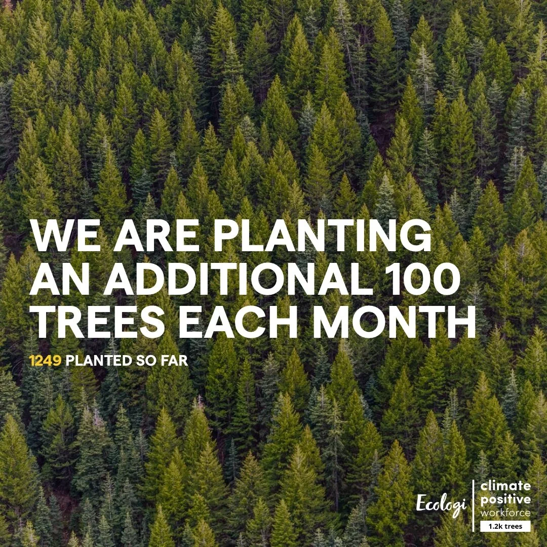 We are Updating our Climate Pledge 🌍 supporting image