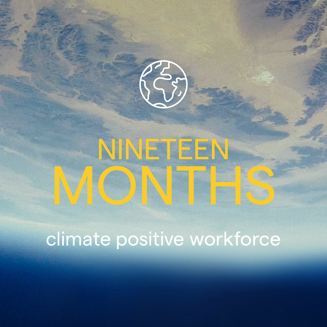 NINTEEN MONTHS.png