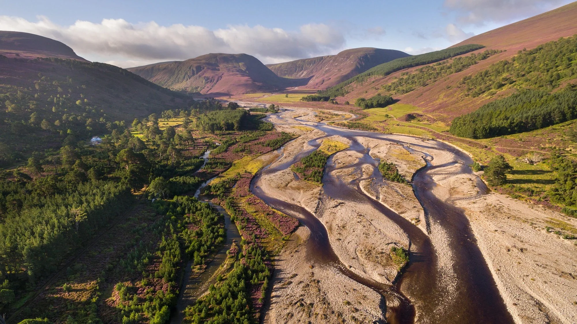 Becoming Carbon Positive as a Creative Agency - UNBXD