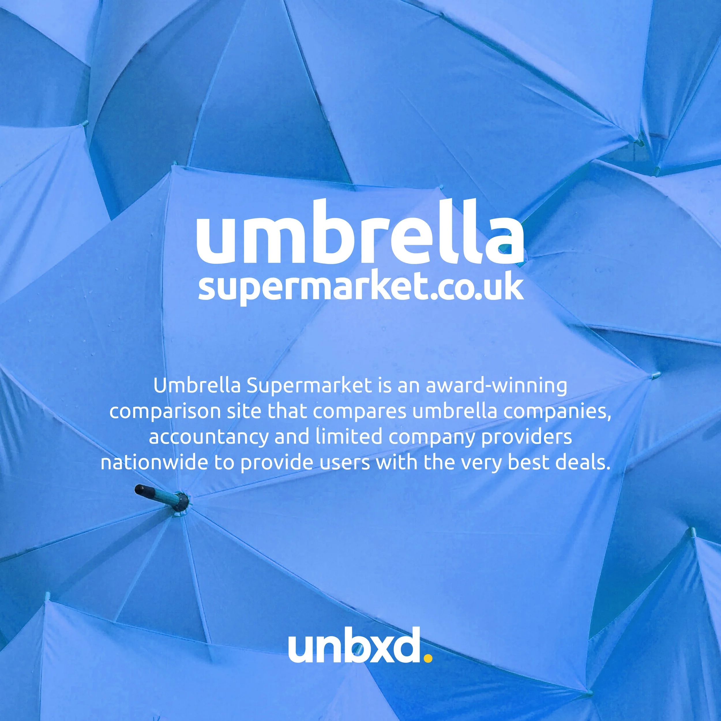 Success Stories: Google Ads for Umbrella Supermarket 