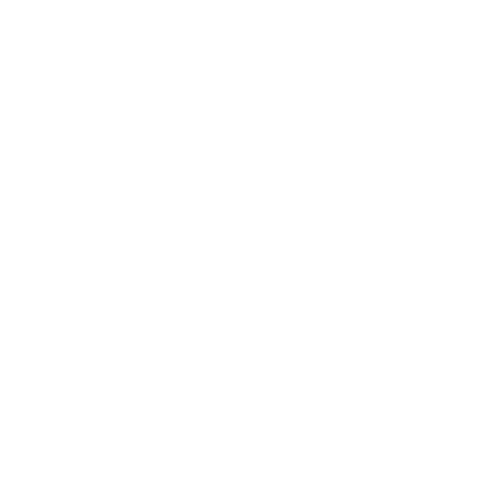 Google Partner