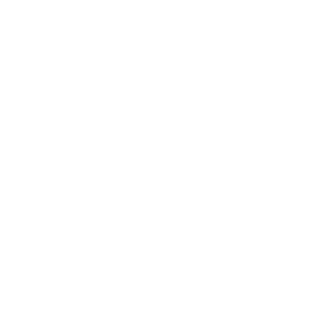 Tiktok Partner